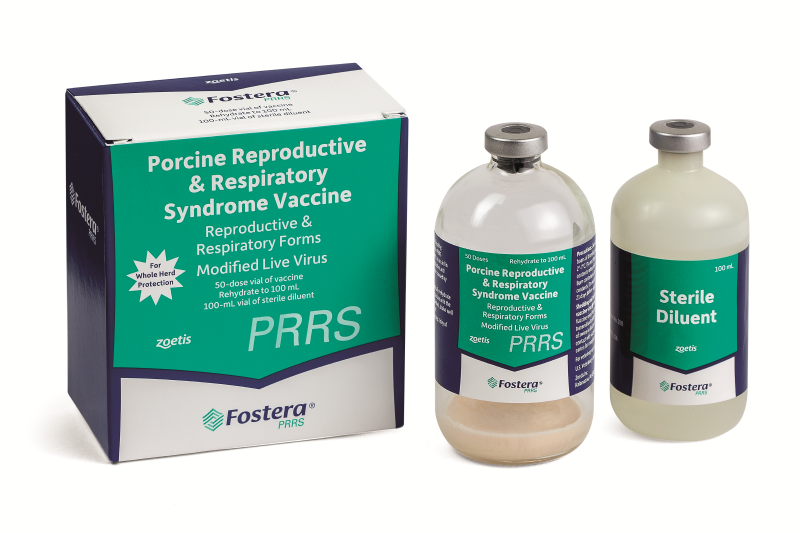 碩騰豬生殖與呼吸綜合症活毒疫苗