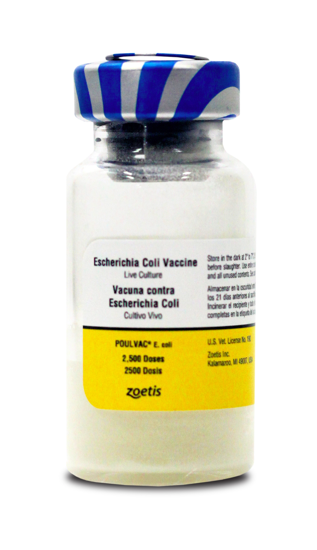 碩騰雞大腸桿菌基因缺損活菌苗