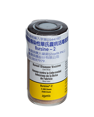 碩騰雞傳染性華氏囊病活毒疫苗